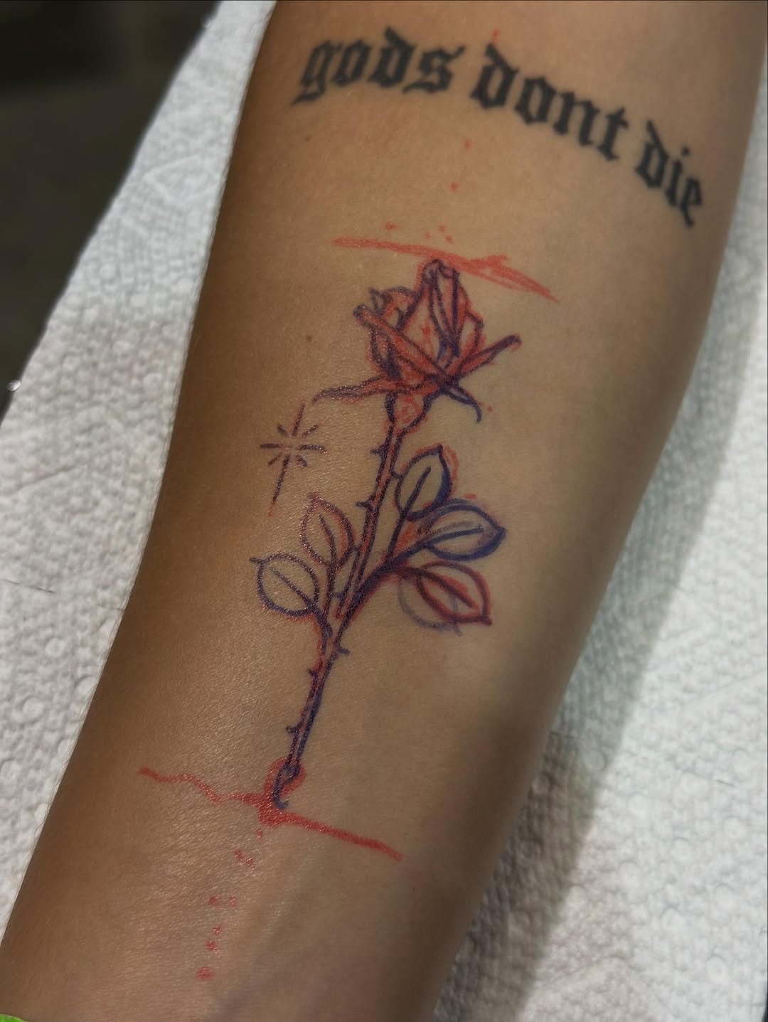 Flower, Rose