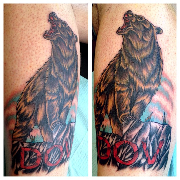 Tiger, Animal