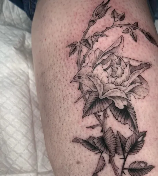 Flower, Rose