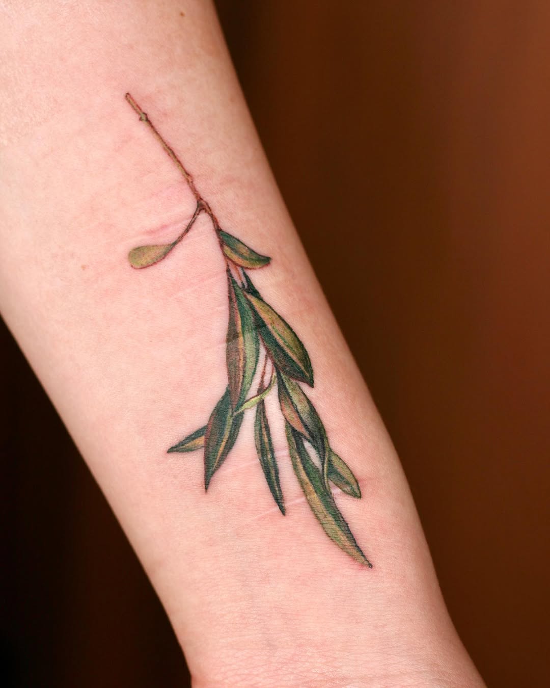 Flower, 단풍잎, 대나무, 잎, 풀