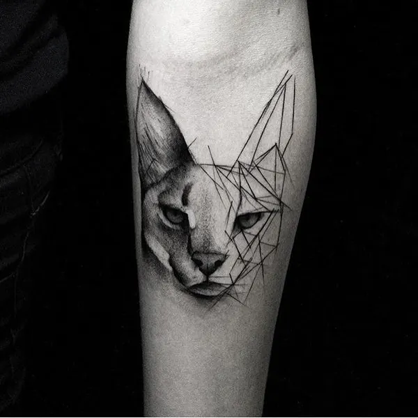 Animal, Tiger
