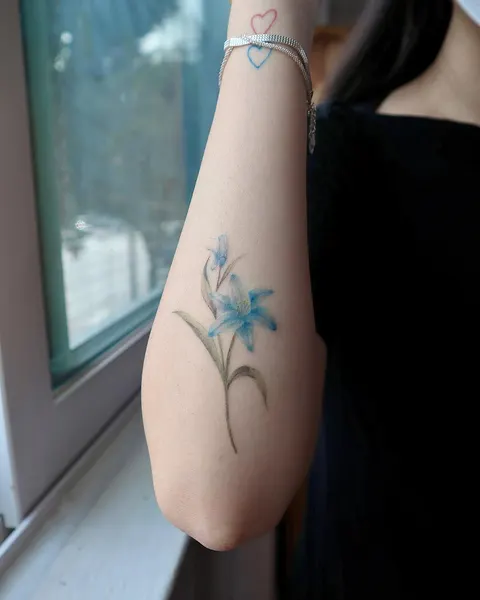 Flower, 풀, 멘디, 백합, 허브, 데이지, 비대칭, 수선화, 야생화, 잉크병, 탄생화, 아이리스, 오너멘탈, 오리엔탈, 이레즈미, 꽃 배경, 모란, 뿌리, 수국, 요정, 민들레, 실루엣, 나뭇가지, 카네이션, 해바라기, 하프슬리브, 올리브 가지, Nature