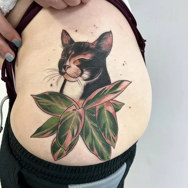 고양이