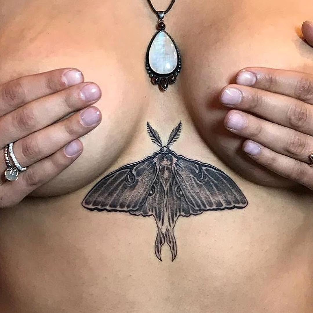 Animal, Nature