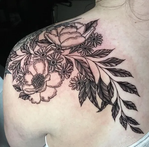 Flower, Nature, Rose
