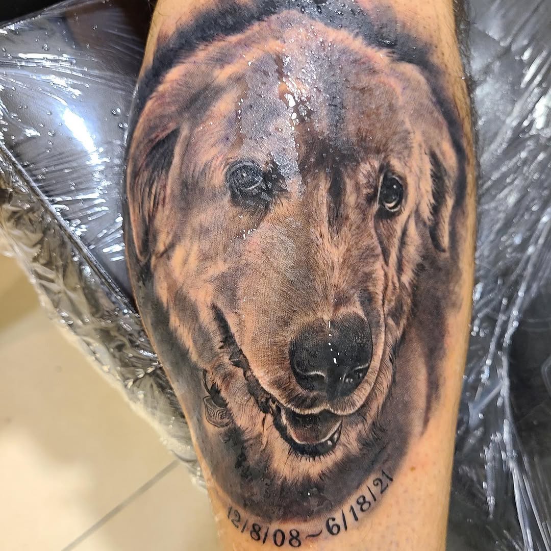 Animal