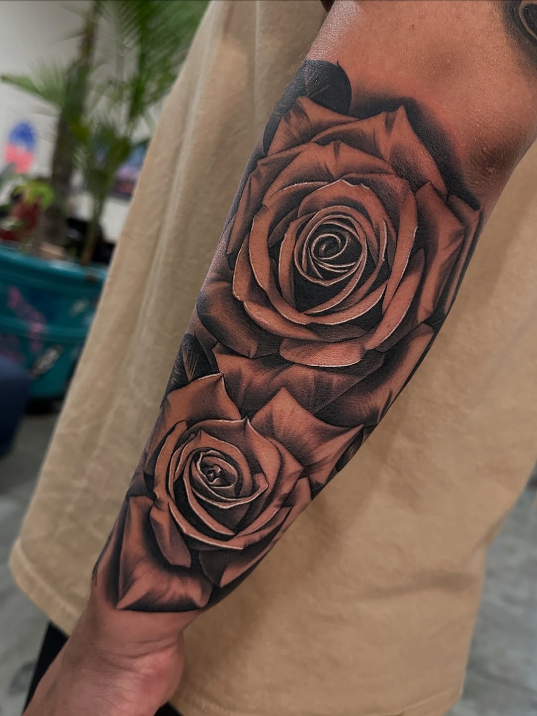 Flower, Rose