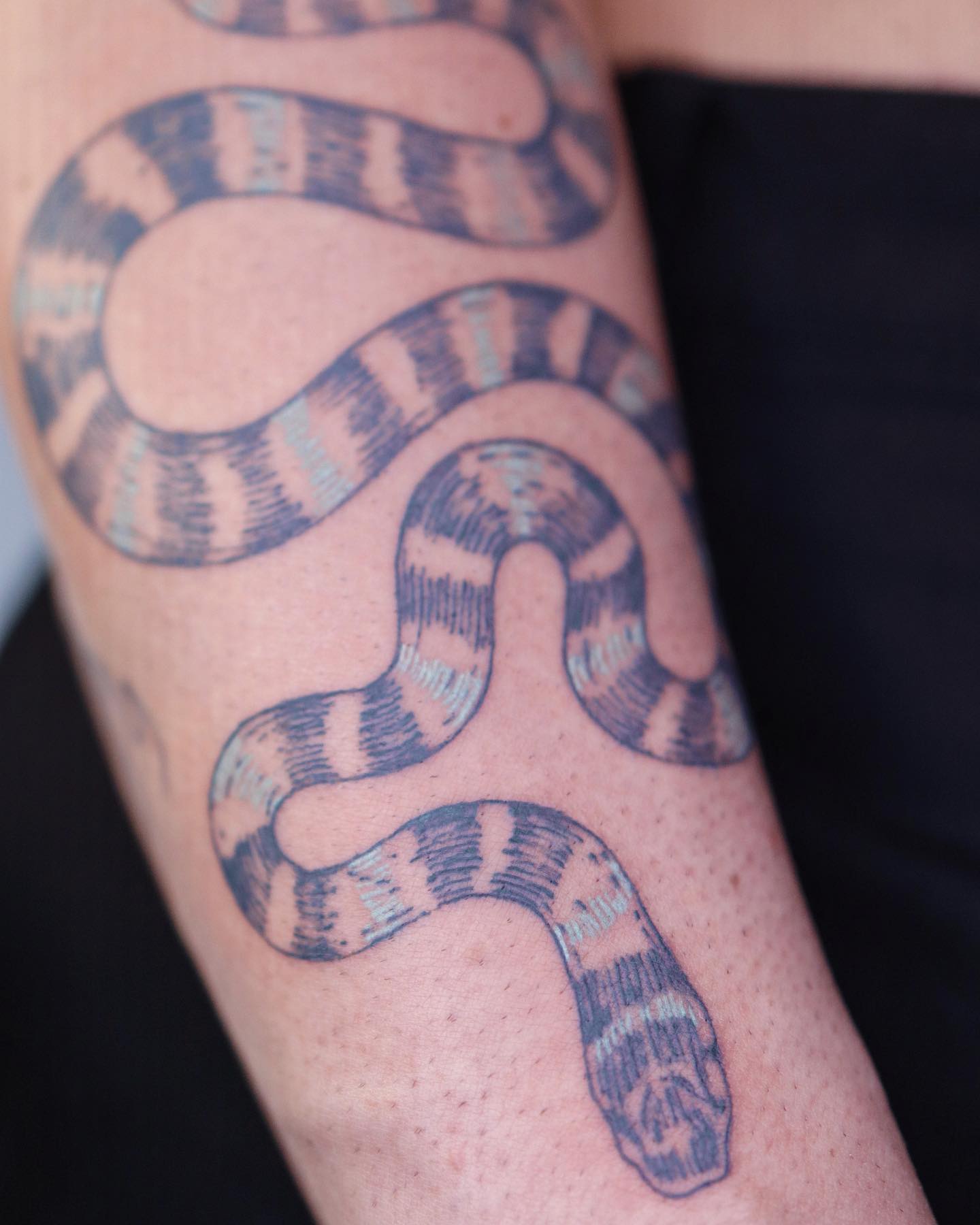 Dragon, Snake