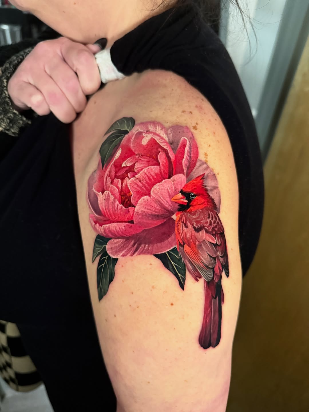 Animal, Flower, Nature