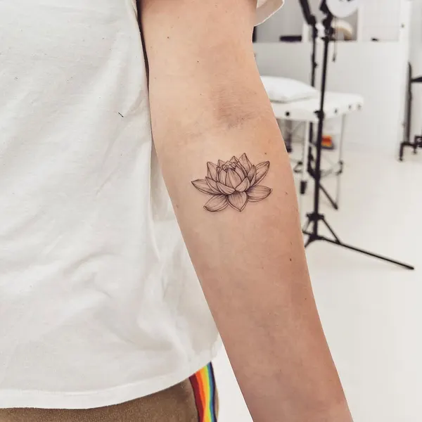 Flower, 멘디, 모란, 목련, 백합, 연꽃, 수선화, 탄생화, 연꽃 문양, 한국 연꽃, 연꽃 만다라, 국화, 일본 단풍