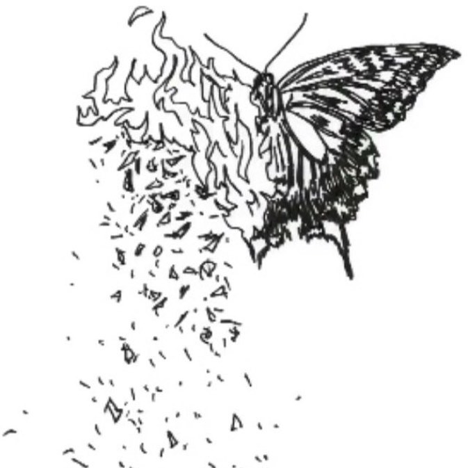 Animal, Nature