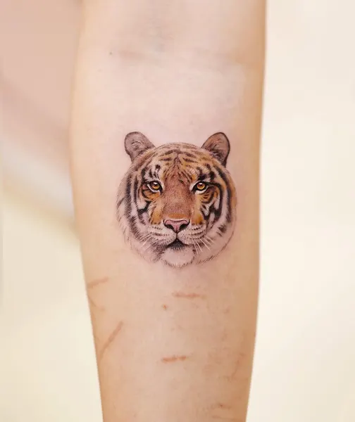 Tiger