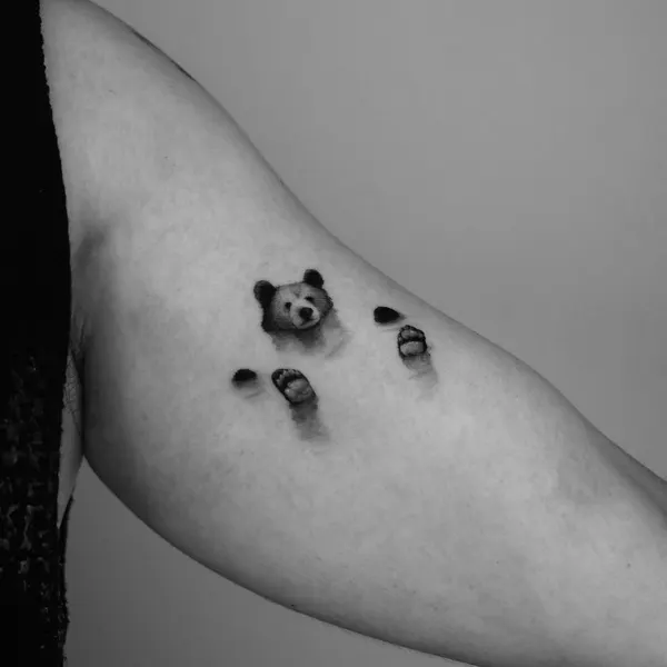 Animal, 곰, 판다, 너구리, 발자국, 코알라, 나무늘보, 대나무