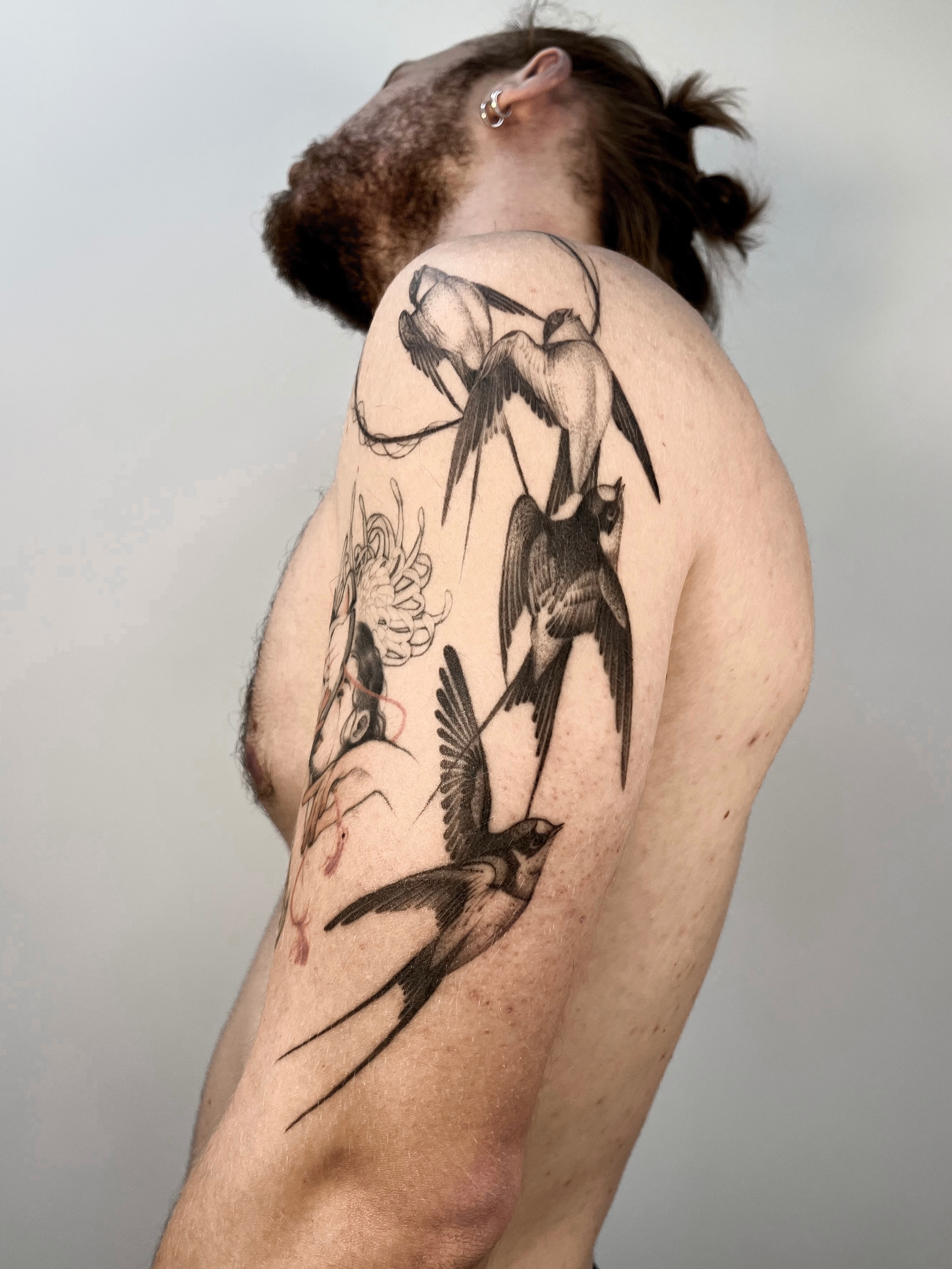 Animal