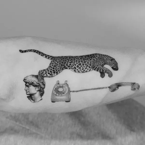 Tiger, Animal, 치타, 표범, 팬서