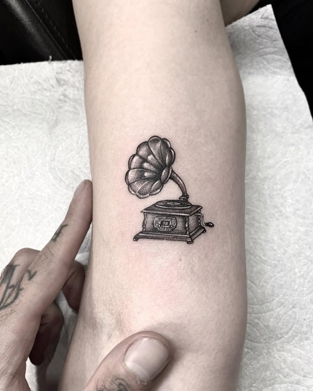 romeolacoste
