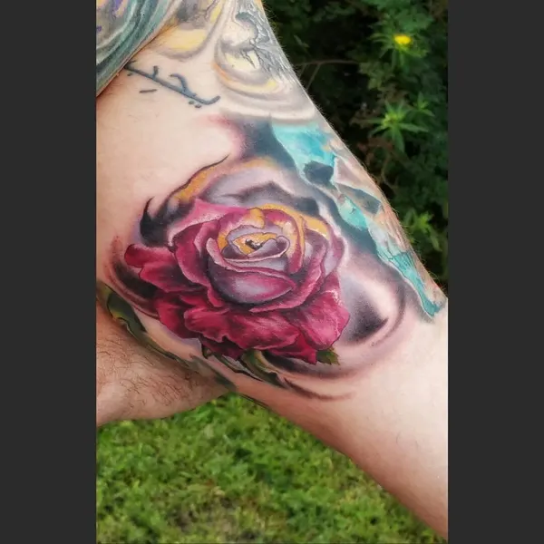 Flower, Rose