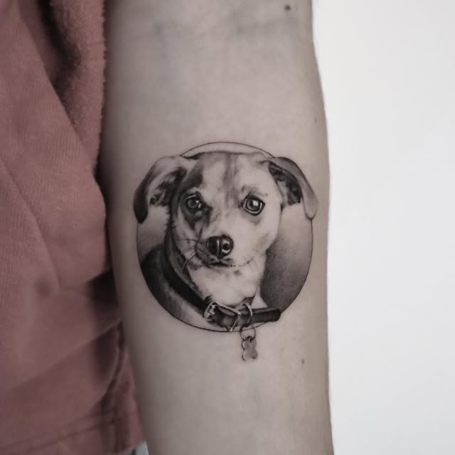 kate_sv_art