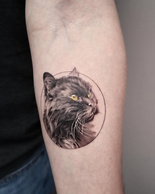 Animal