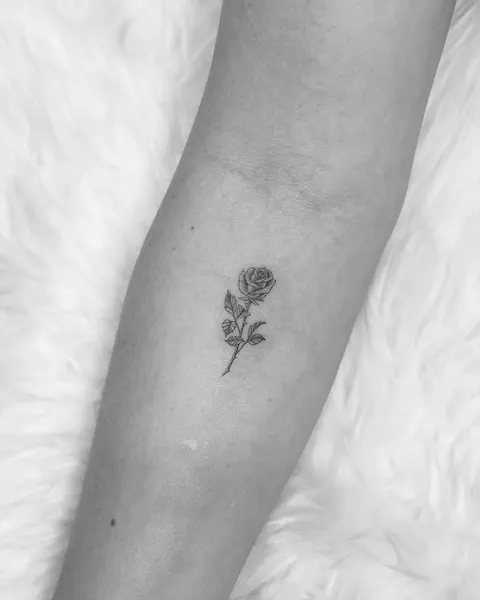 Flower, Rose