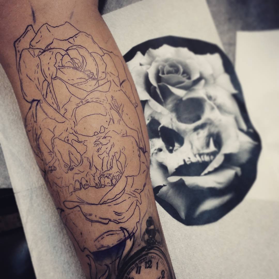 Flower, Rose