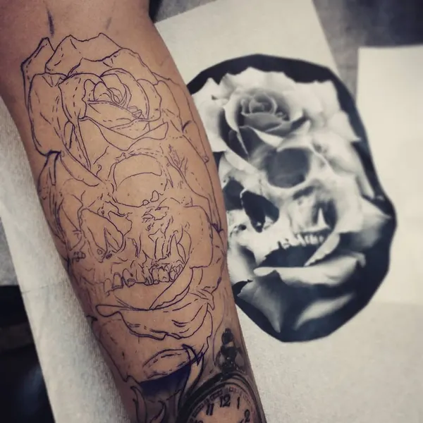 Flower, Rose