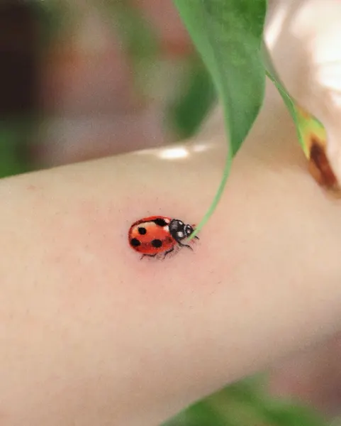 Flower, Mini