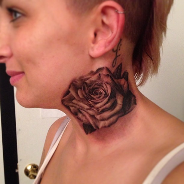 Flower, Nature, Rose