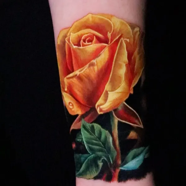 Flower, Rose
