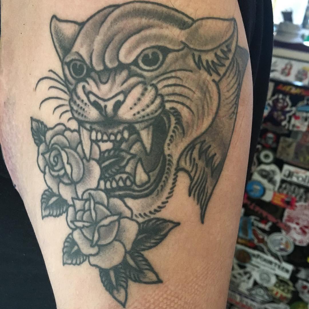 Tiger, Animal