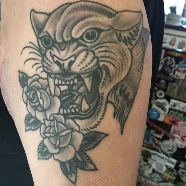 Tiger, Animal