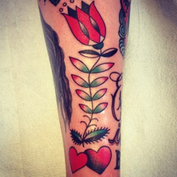 Flower, Rose