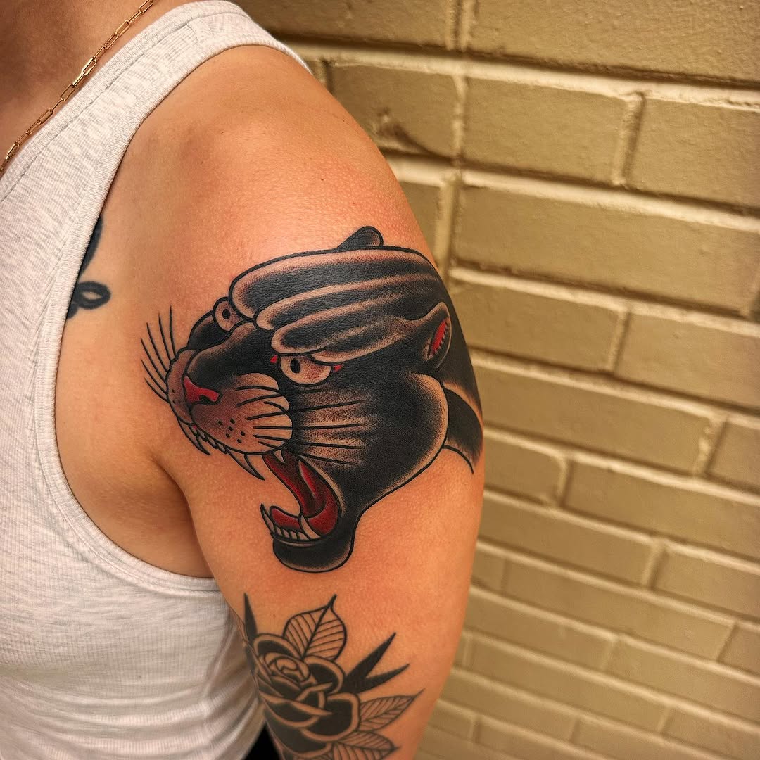 Tiger, Animal