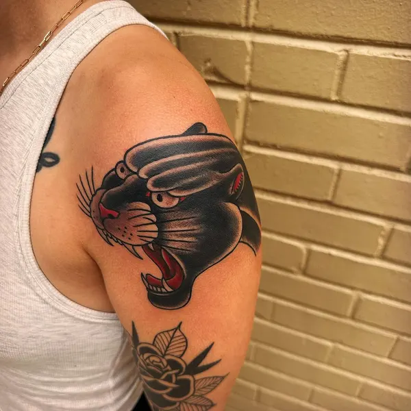 Tiger, Animal