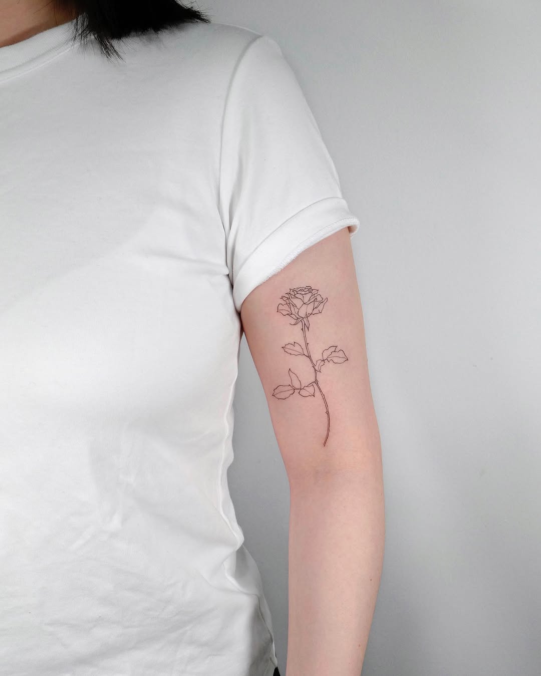 Flower, Rose