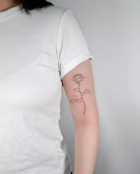 Flower, Rose