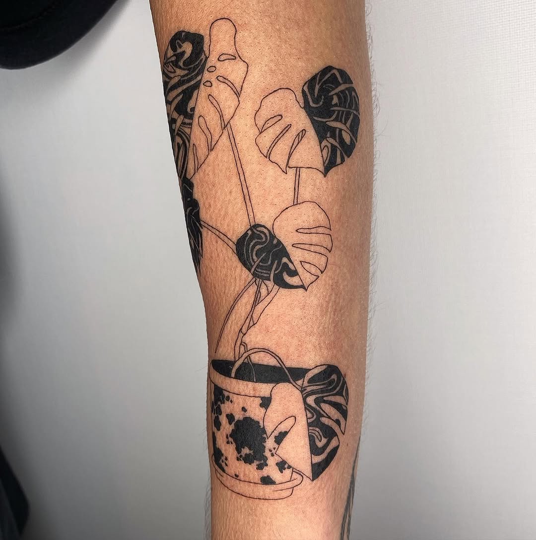 plantsnpokes