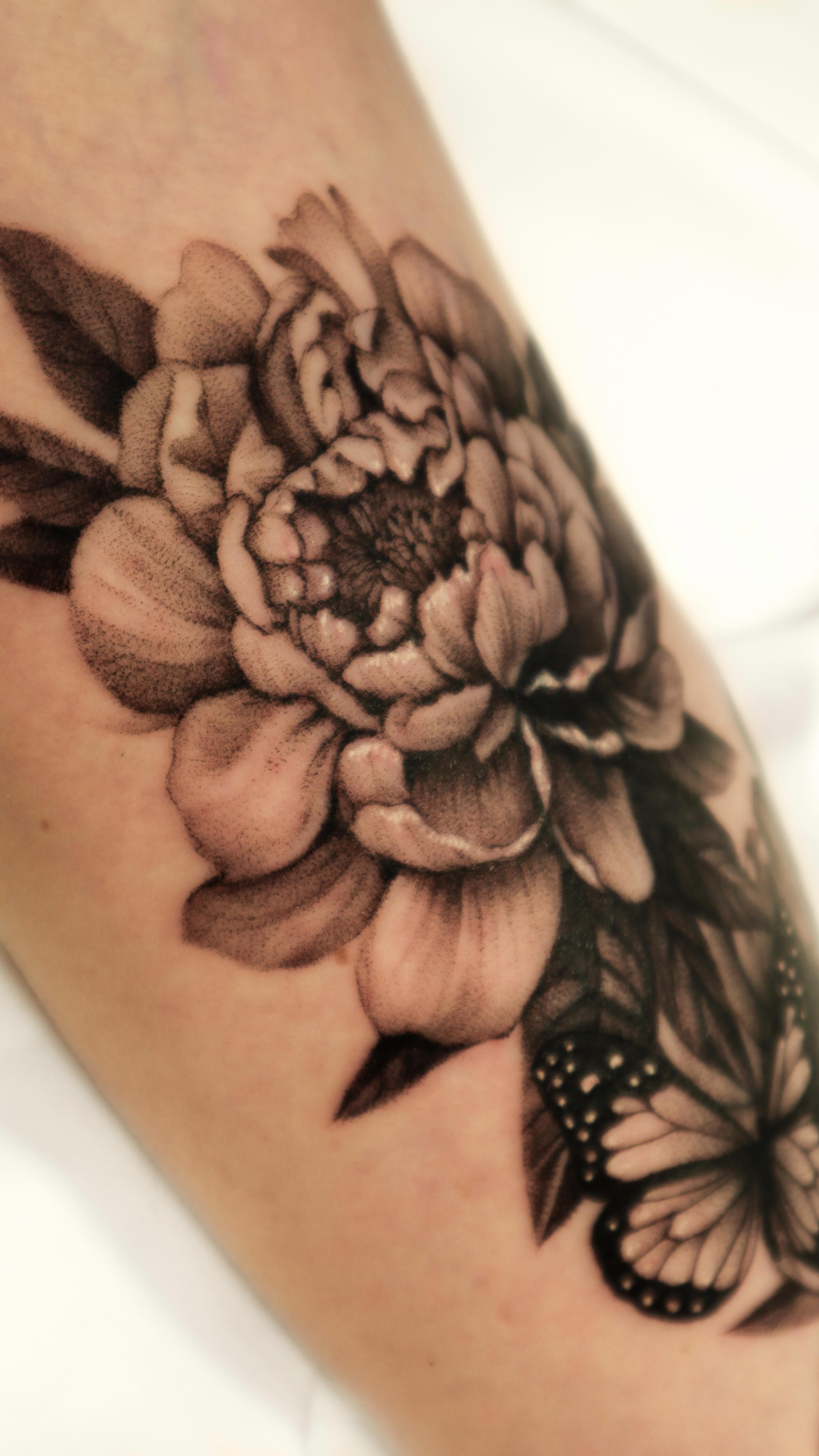 Flower, Rose, Animal, Nature