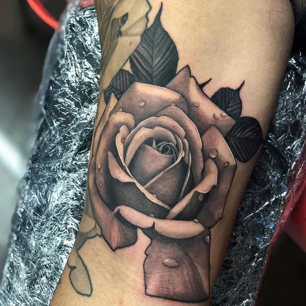 Flower, Rose