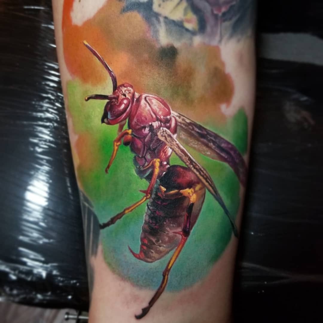 Animal