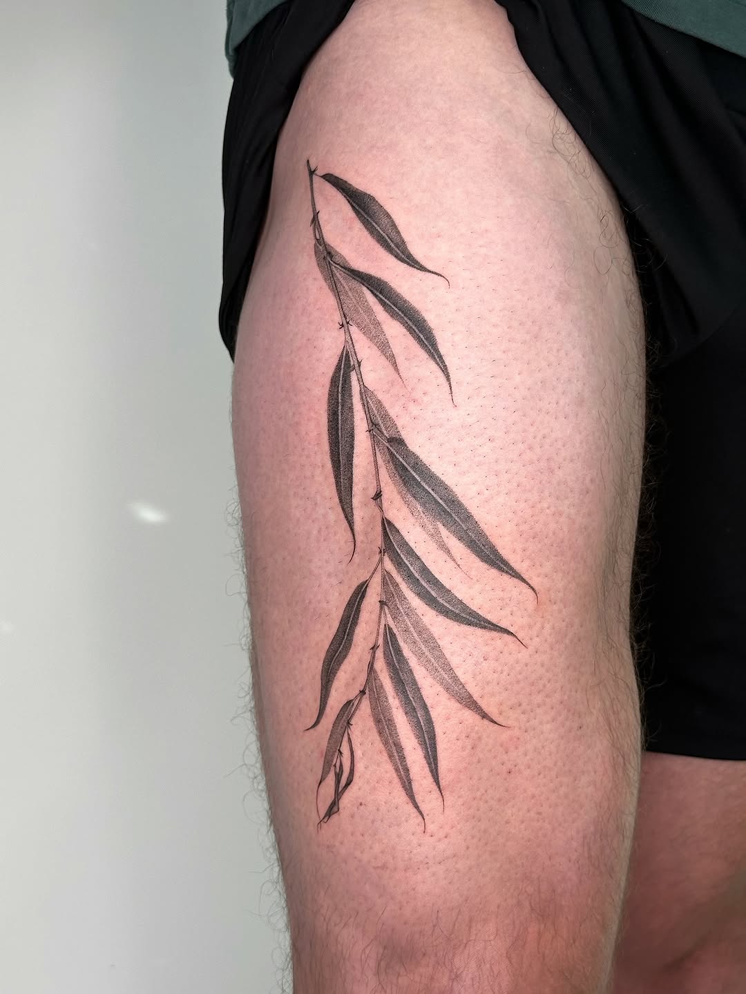 plantsnpokes