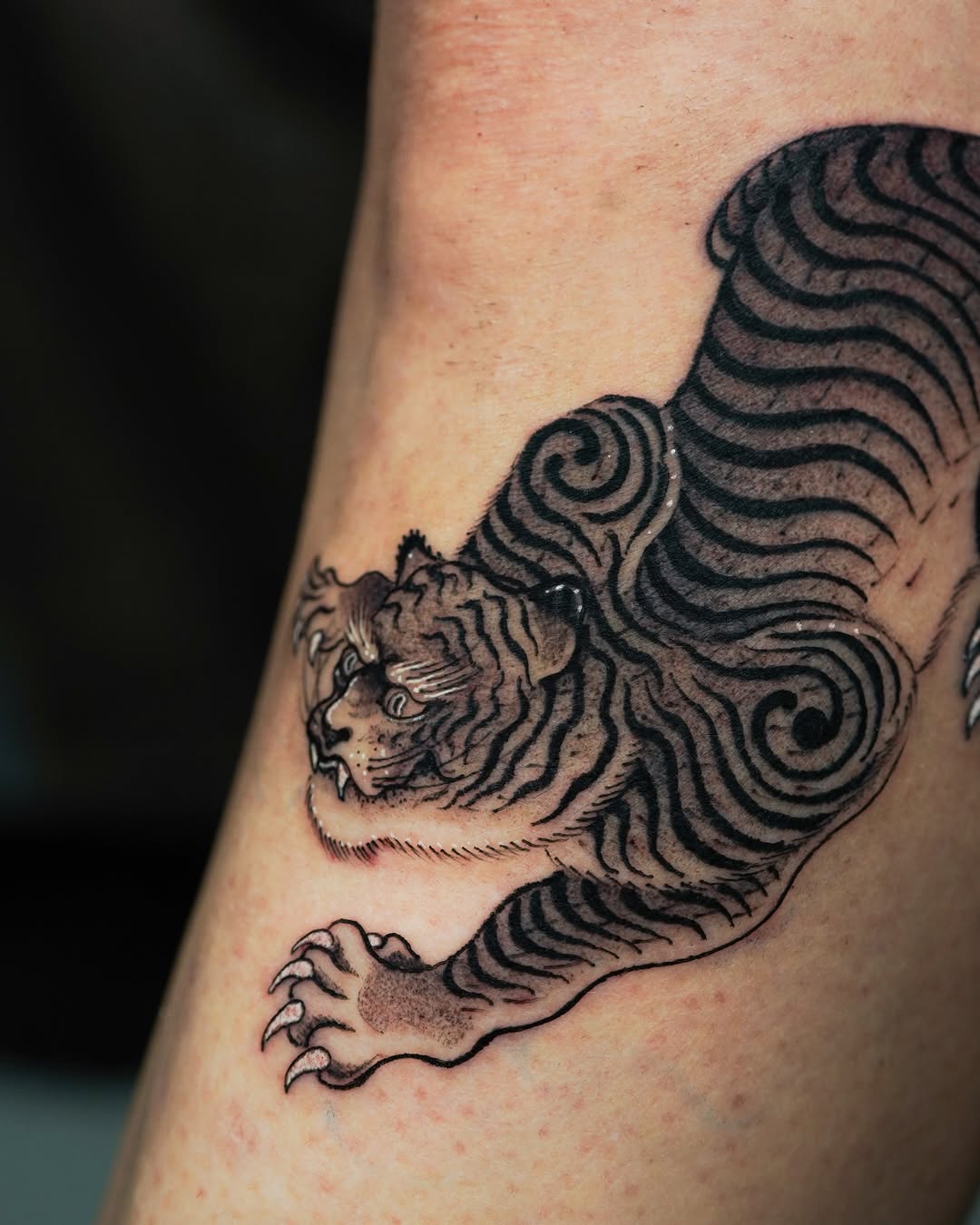 Tiger