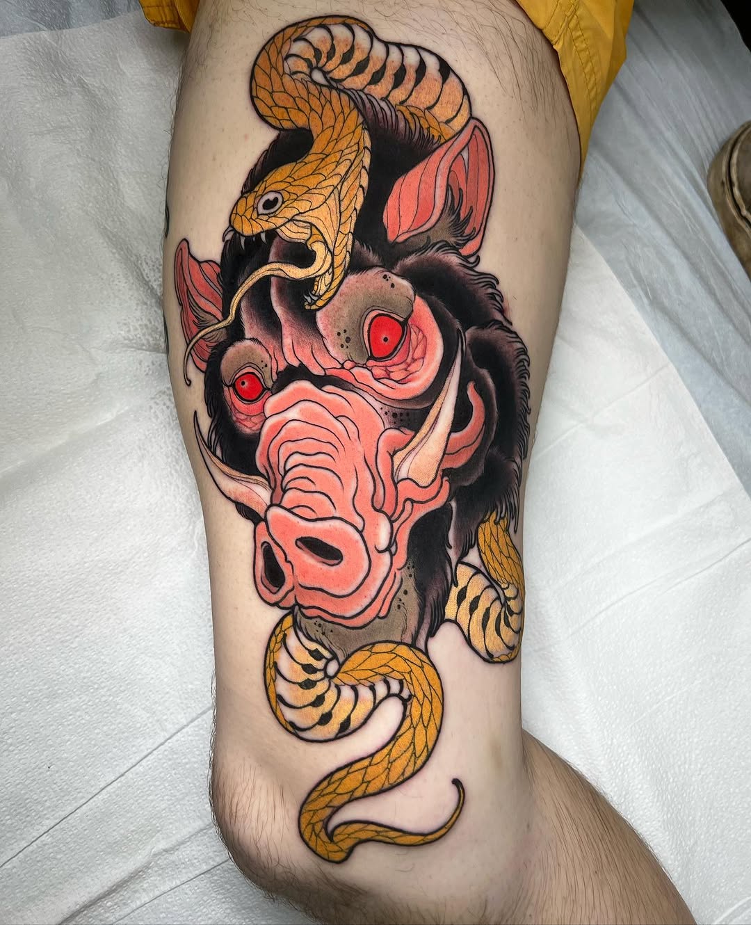 Dragon