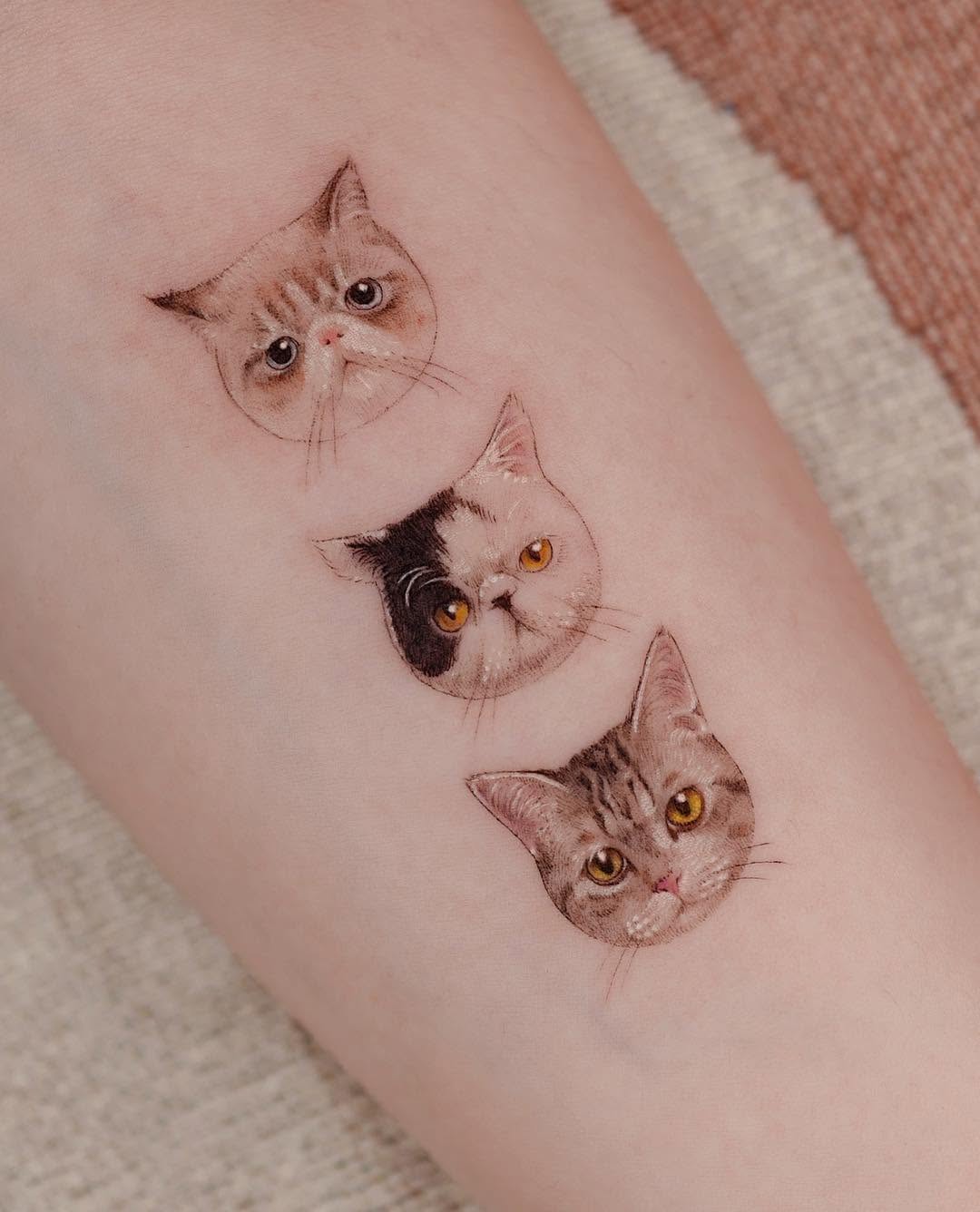 soltattoo