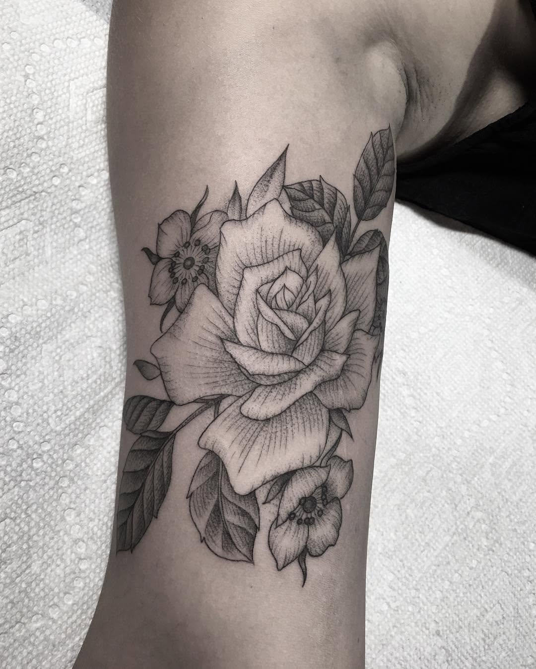 Rose, Flower