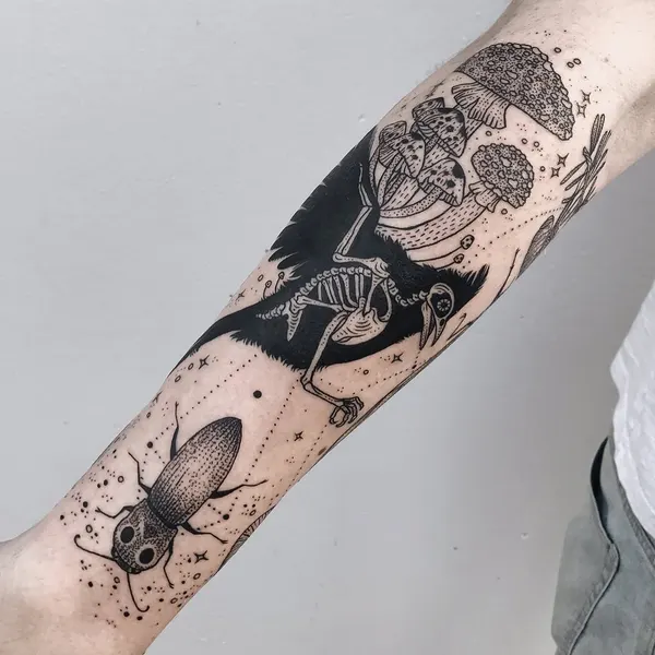 Nature, Animal