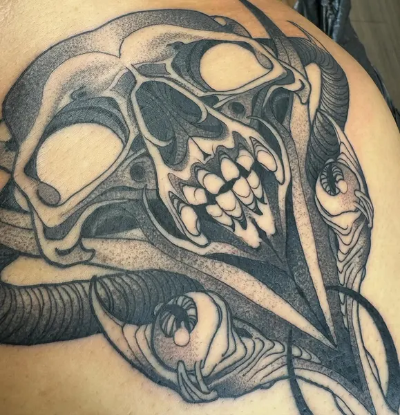 sacred_crow