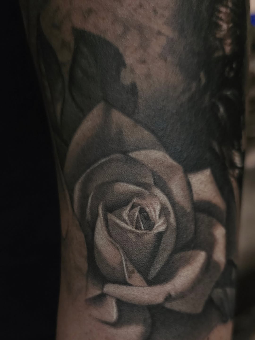 david_vega83