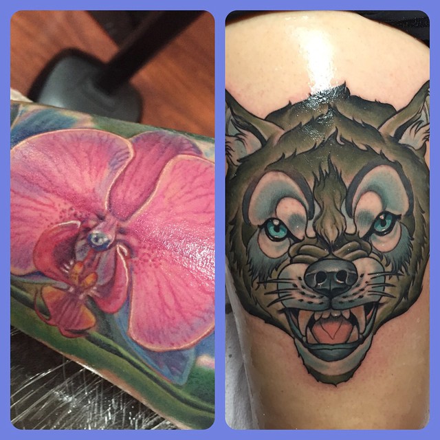 Animal, Tiger