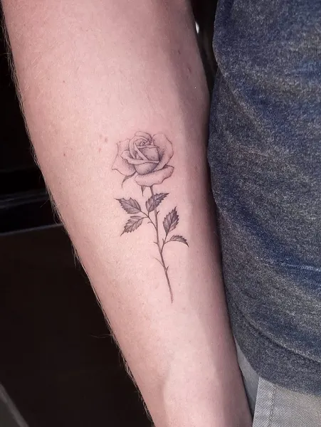 Flower, Rose